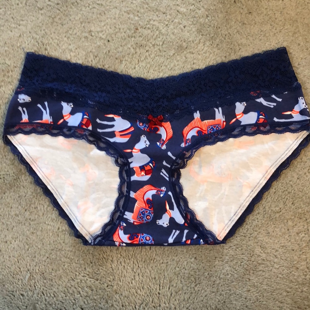 New Aerie S Purple Lace Edged Panties w/ Camels
